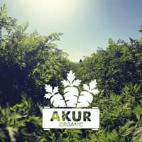 Akur Organic logo